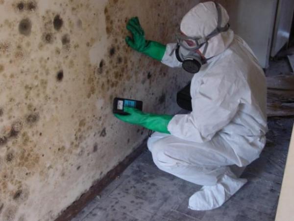 mold growth resulting from a water damage leak in Scottsdale AZ